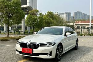 宝马5系 宝马 530Li 领先型 M运动套装