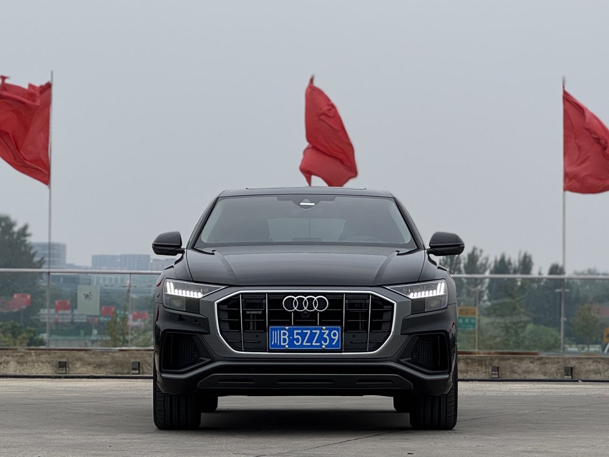 2024年8月奧迪 奧迪Q8  2023款 55 TFSI 豪華動(dòng)感型