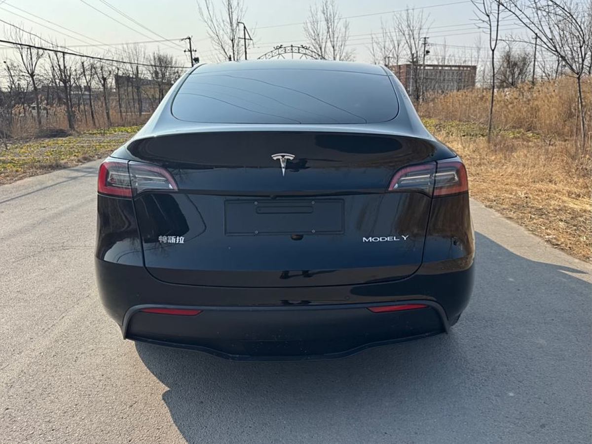 特斯拉 Model 3  2020款 改款 長續(xù)航后輪驅(qū)動版圖片