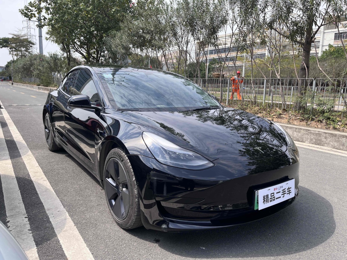 特斯拉 Model 3  2021款 標(biāo)準(zhǔn)續(xù)航后驅(qū)升級版 3D6圖片