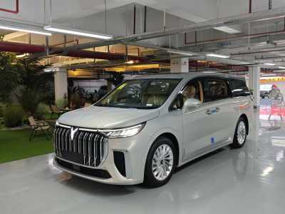 2024年9月 嵐圖 夢想家 PHEV 超長續(xù)航尊貴版圖片