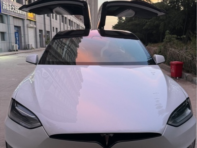 2019年6月 特斯拉 Model X 长续航版图片