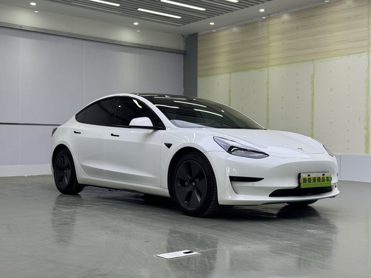 特斯拉 Model 3  2019款 標(biāo)準(zhǔn)續(xù)航后驅(qū)升級版圖片