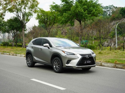 2018年5月 雷克薩斯 NX 300 前驅(qū) 鋒行版圖片