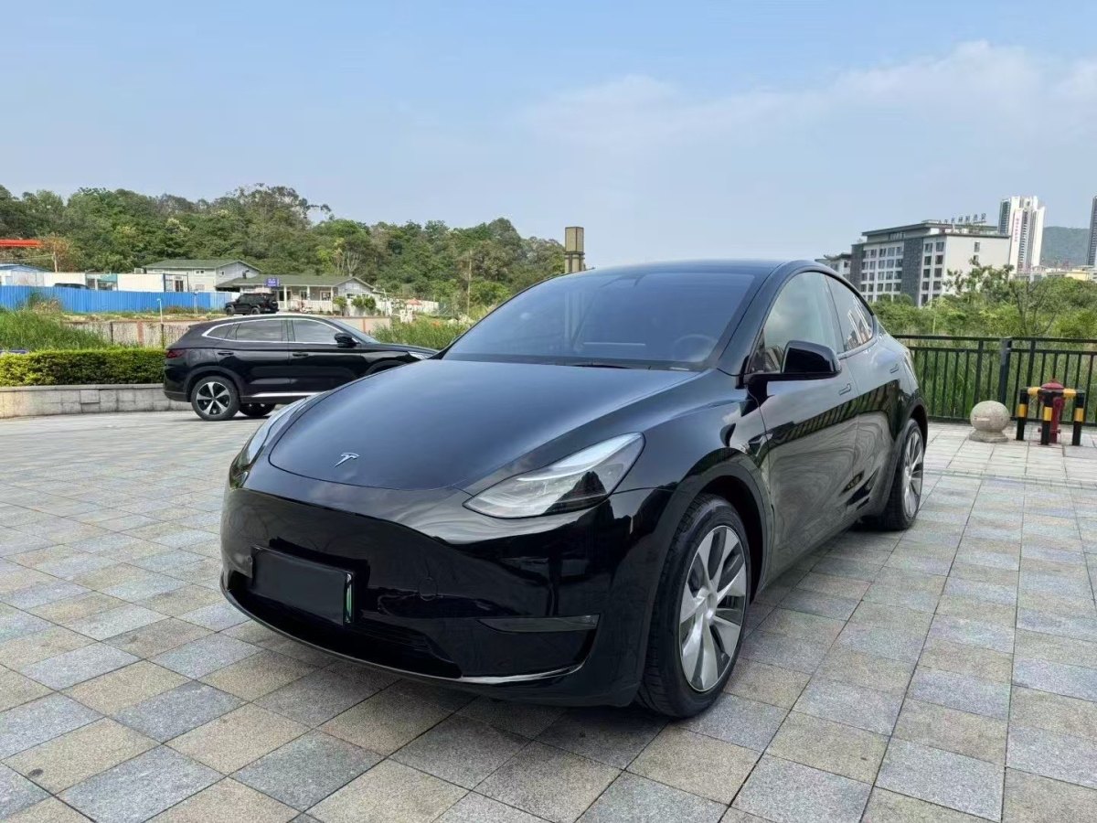 特斯拉 Model Y  2021款 標(biāo)準(zhǔn)續(xù)航后驅(qū)版圖片