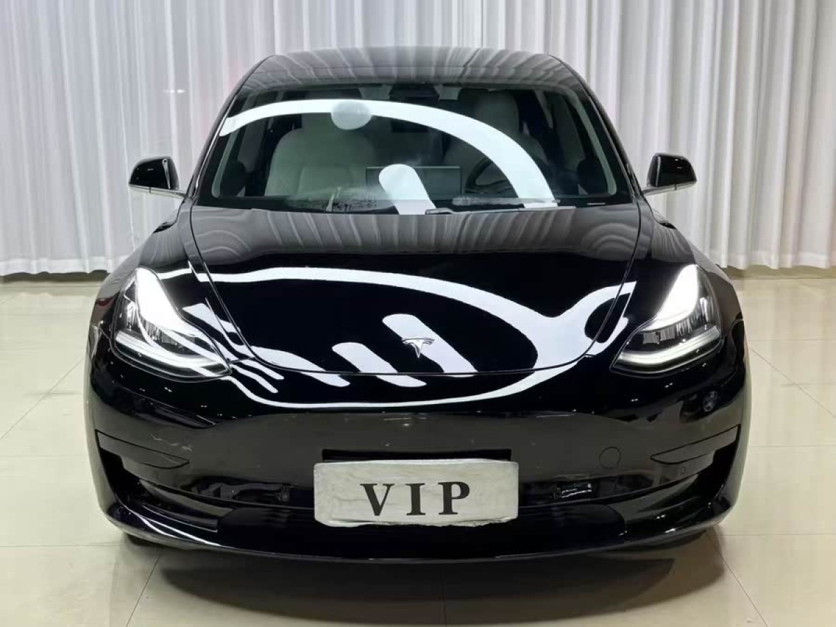 特斯拉 Model 3  2020款 改款 標準續(xù)航后驅(qū)升級版圖片
