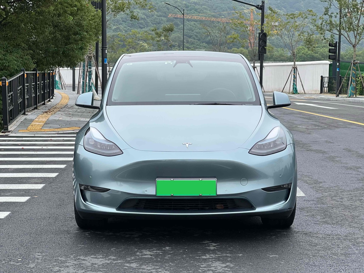 特斯拉 Model Y  2022款 Performance高性能全輪驅動版圖片