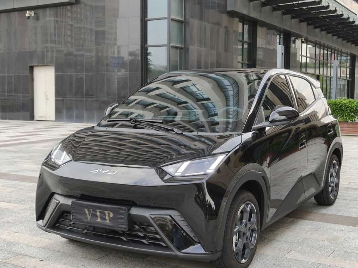 比亞迪 海鷗  2024款 榮耀版 305km 自由版圖片