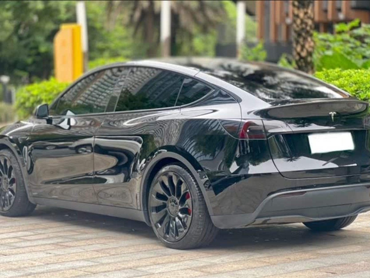 特斯拉 Model Y  2022款 Performance高性能全輪驅(qū)動(dòng)版圖片