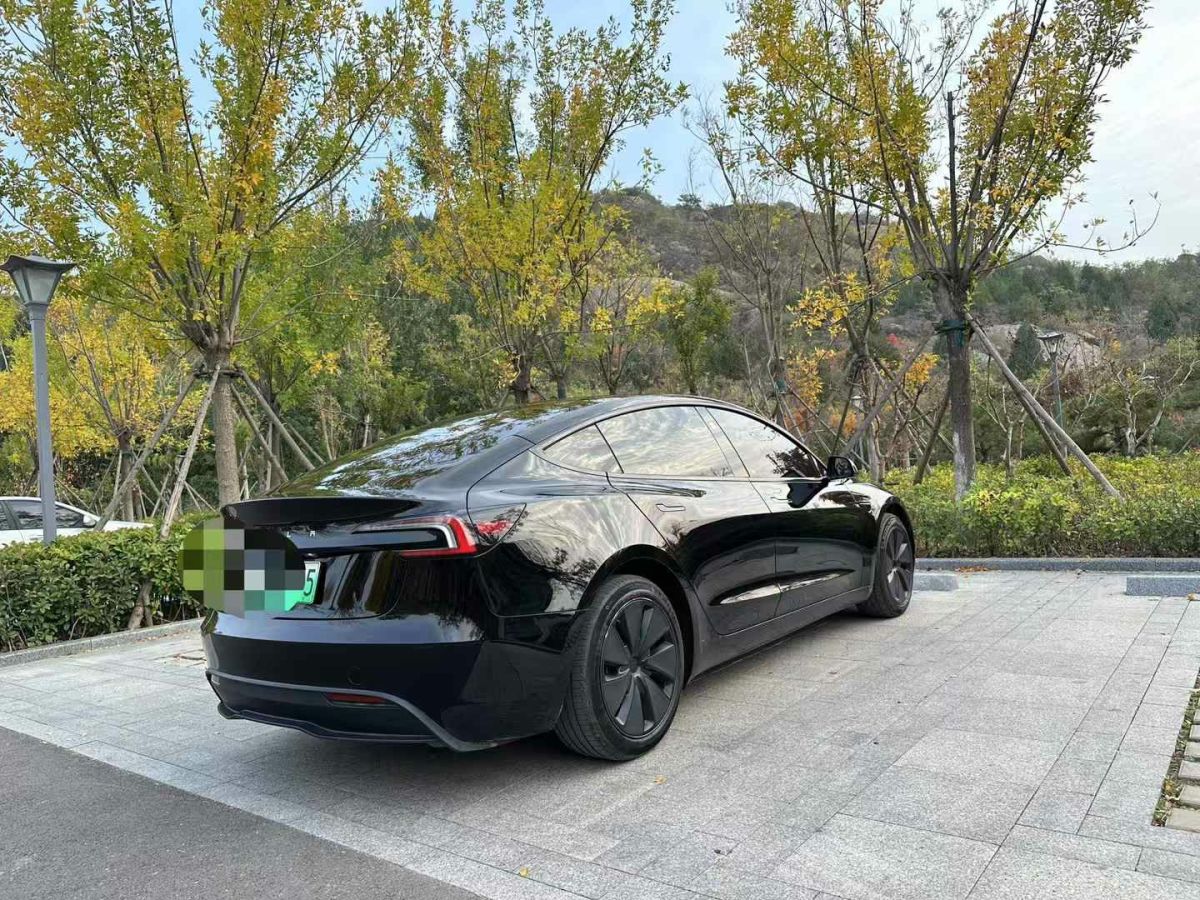 特斯拉 Model Y  2024款 Performance高性能版圖片