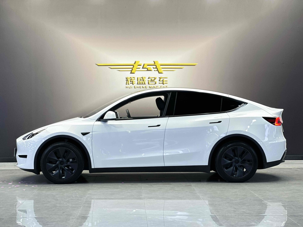 2024年3月特斯拉 Model 3  2020款 改款 長續(xù)航后輪驅(qū)動版