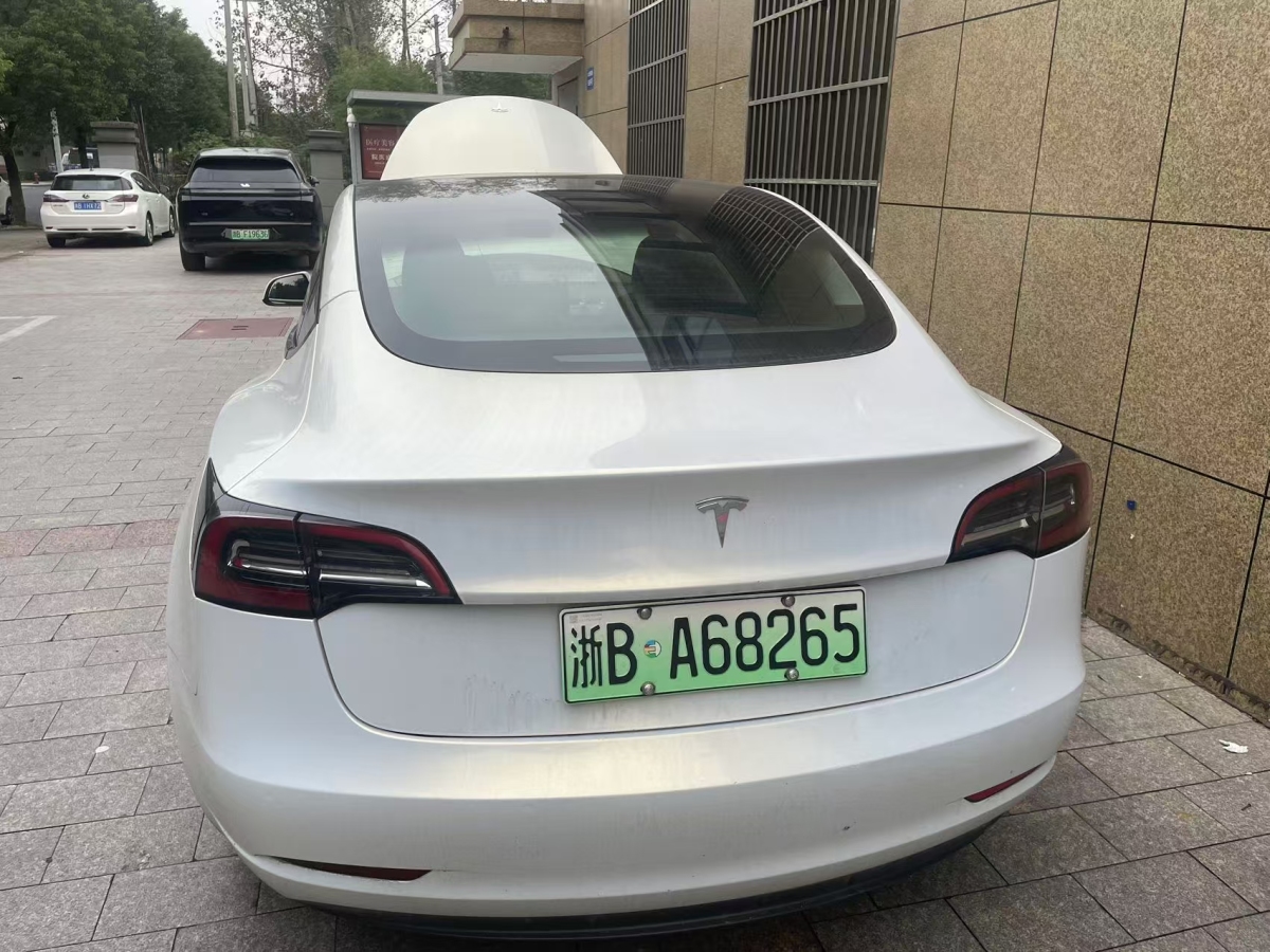 特斯拉 Model 3  2021款 標(biāo)準(zhǔn)續(xù)航后驅(qū)升級(jí)版 3D6圖片