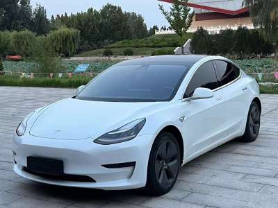 2020年6月 特斯拉 Model 3 標(biāo)準(zhǔn)續(xù)航后驅(qū)升級版圖片