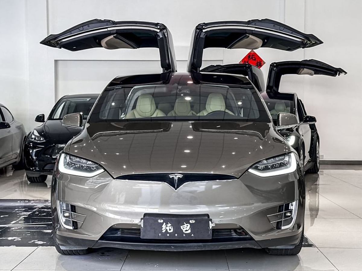 特斯拉 Model X  2016款 Model X 90D圖片