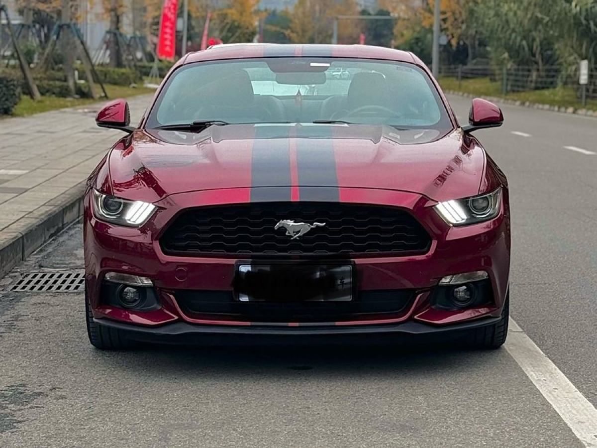 福特 Mustang  2015款 2.3T 性能版圖片