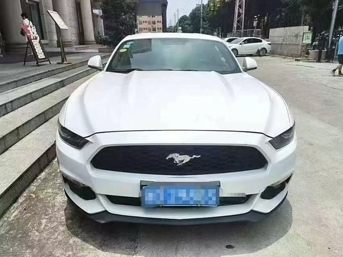 福特 Mustang  2015款 2.3T 性能版圖片