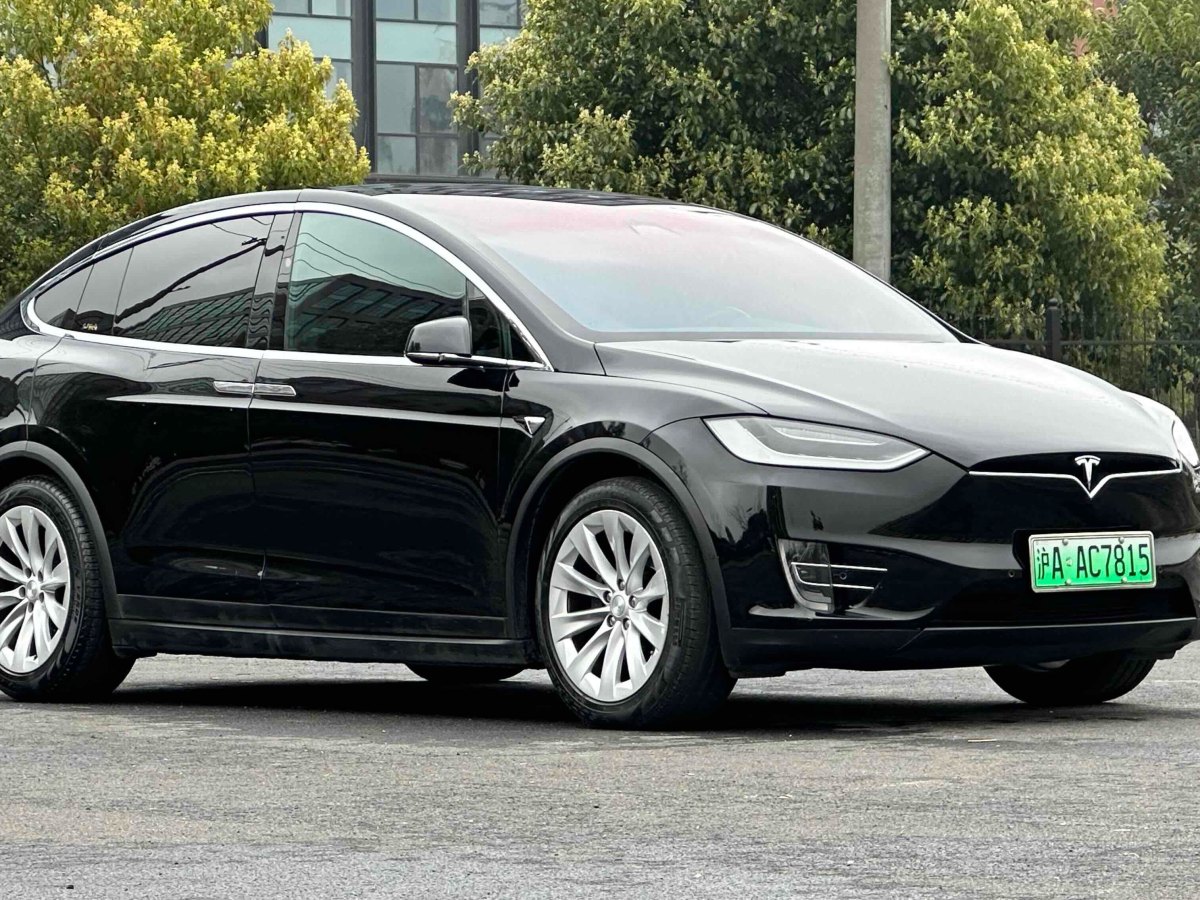 特斯拉 Model X  2016款 Model X 75D圖片