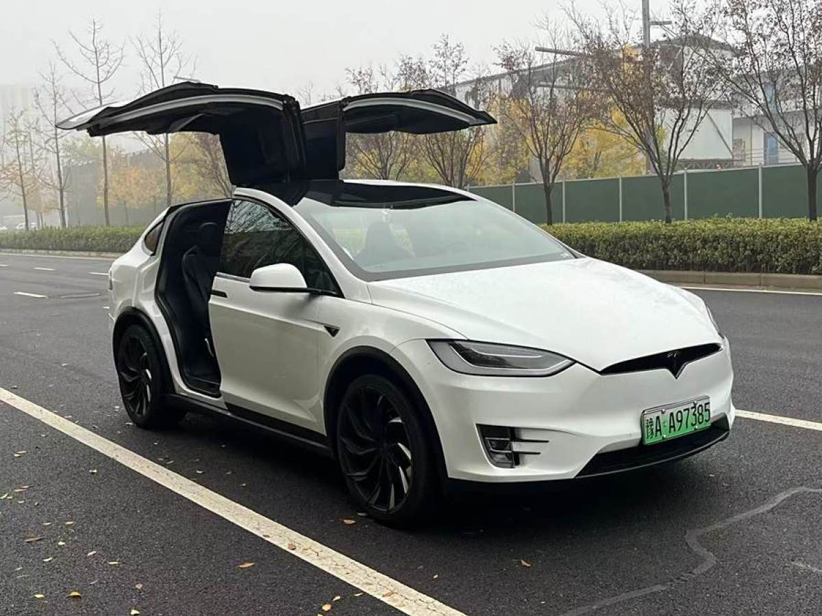 特斯拉 Model X  2016款 Model X 90D圖片