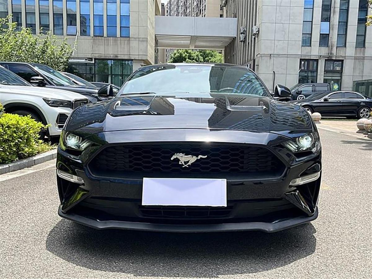 福特 Mustang  2021款 2.3L EcoBoost圖片