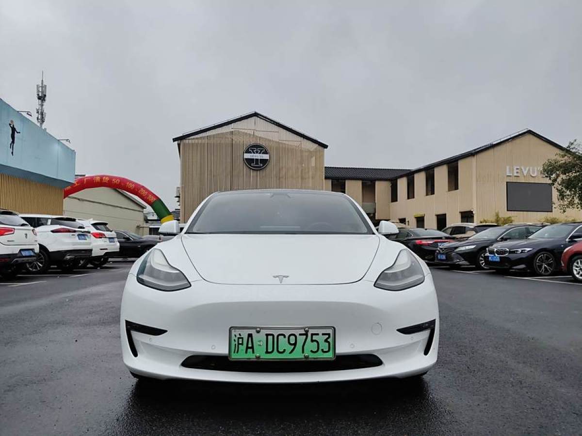 特斯拉 Model 3  2019款 長續(xù)航全輪驅(qū)動版圖片