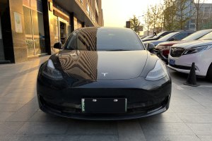 Model 3 特斯拉 標(biāo)準(zhǔn)續(xù)航后驅(qū)升級(jí)版 3D6