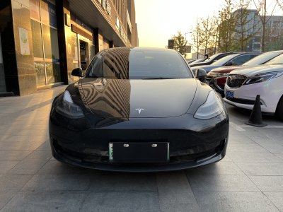 2021年9月 特斯拉 Model 3 標(biāo)準(zhǔn)續(xù)航后驅(qū)升級版 3D6圖片