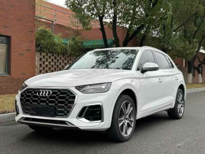 2022年1月 奧迪 奧迪Q5 e-tron 40 e-tron 星耀型 機(jī)甲套裝圖片