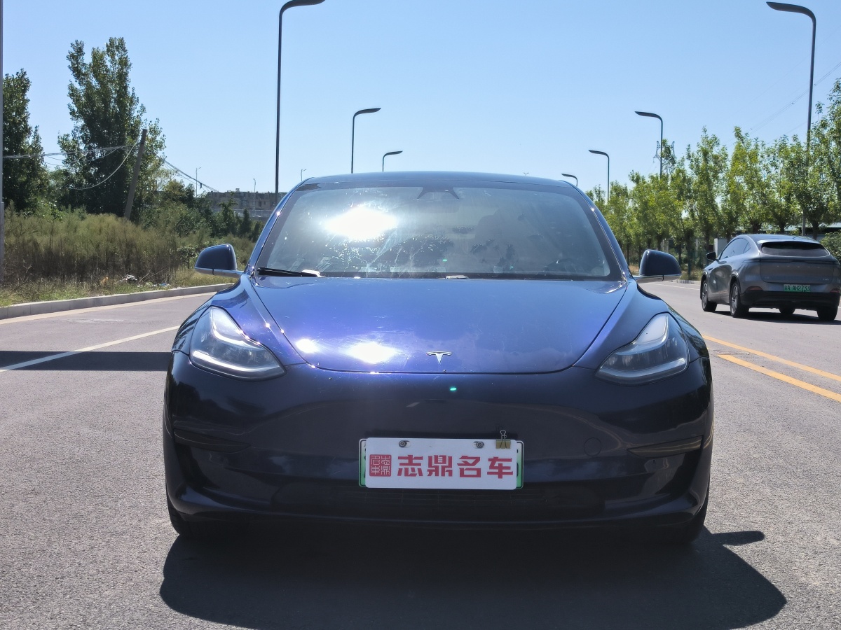 特斯拉 Model 3  2019款 標準續(xù)航后驅(qū)升級版圖片