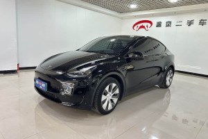 Model Y 特斯拉 改款 后輪驅(qū)動(dòng)版