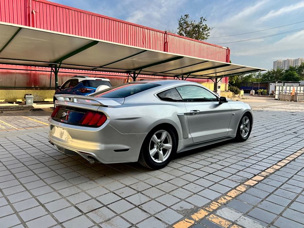 福特 Mustang  2015款 2.3T 50周年紀念版圖片