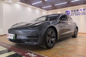 Model 3 特斯拉 標(biāo)準(zhǔn)續(xù)航后驅(qū)升級(jí)版