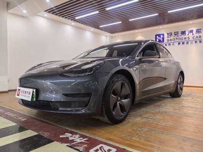 2020年5月 特斯拉 Model 3 標(biāo)準(zhǔn)續(xù)航后驅(qū)升級(jí)版圖片