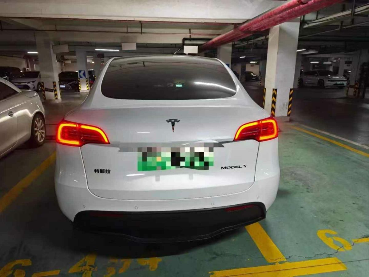 特斯拉 Model Y  2021款 標(biāo)準(zhǔn)續(xù)航后驅(qū)版圖片