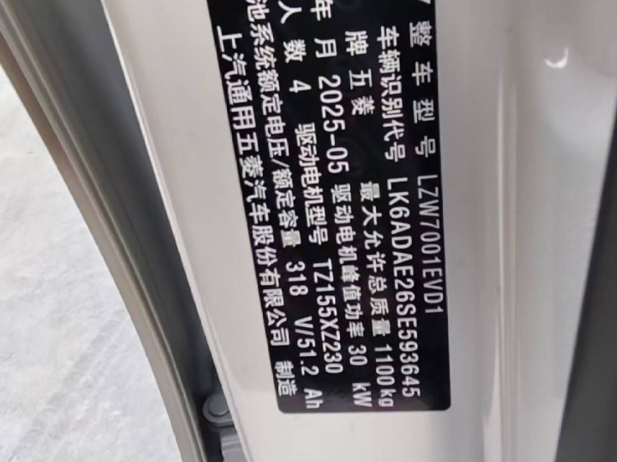五菱 菱勢(shì)黃金小卡  2025款 倉柵 頂配版圖片