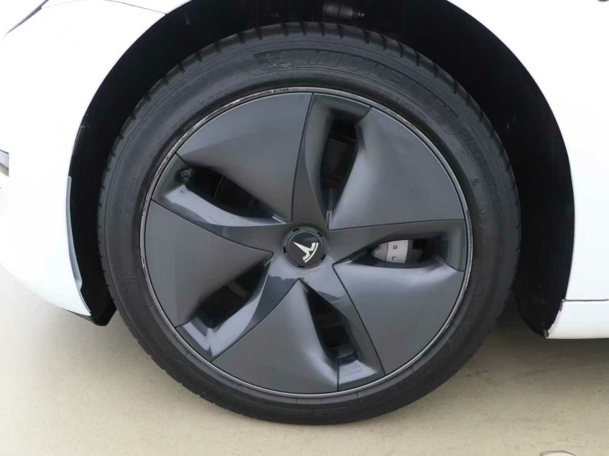 特斯拉 Model 3  2020款 標(biāo)準(zhǔn)續(xù)航后驅(qū)升級版圖片