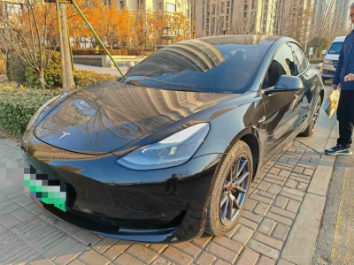 2021年4月 特斯拉 Model 3 標(biāo)準(zhǔn)續(xù)航后驅(qū)升級版圖片