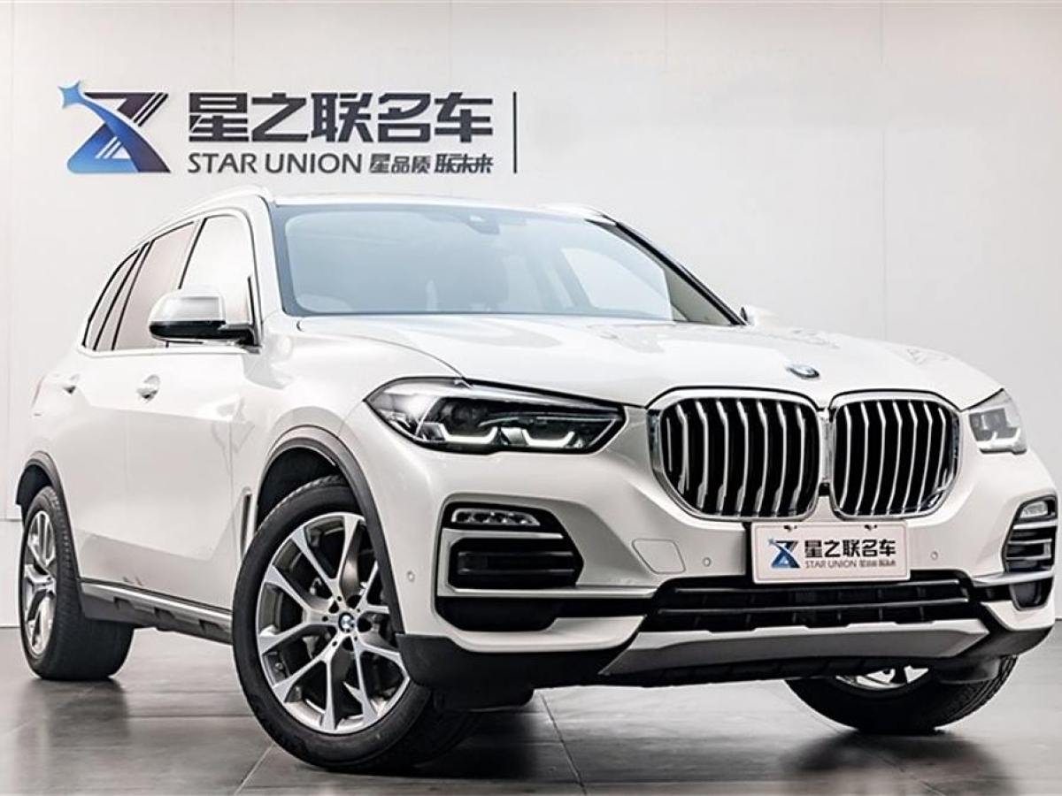 寶馬 寶馬X5  2019款 xDrive30i X設(shè)計(jì)套裝圖片