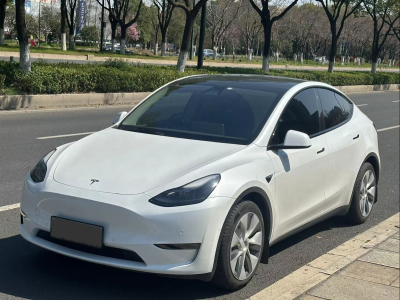 2022年2月 特斯拉 Model Y 后驅版圖片