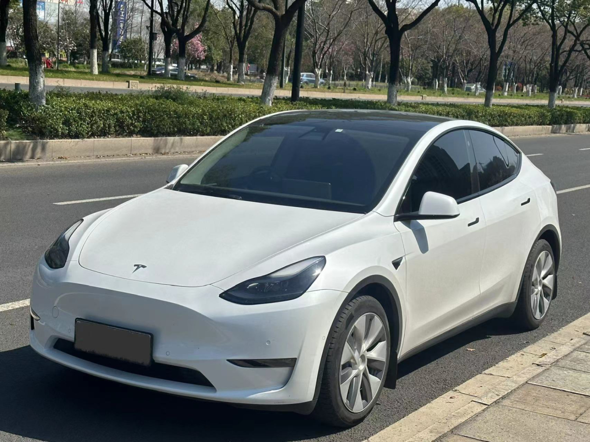 2022年2月特斯拉 Model Y  2022款 后驅(qū)版