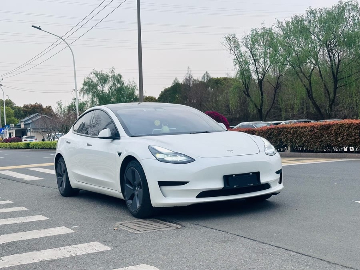 特斯拉 Model 3  2022款 后輪驅(qū)動(dòng)版圖片