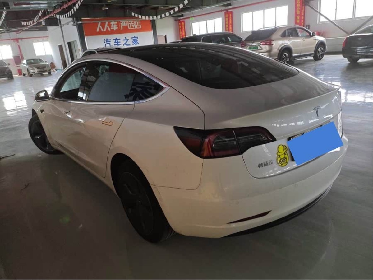 特斯拉 Model 3  2020款 改款 標準續(xù)航后驅升級版圖片