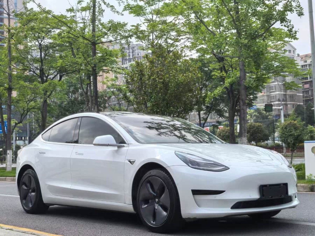 特斯拉 Model 3  2020款 改款 標(biāo)準(zhǔn)續(xù)航后驅(qū)升級版圖片
