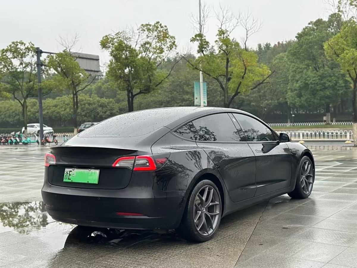 2021年5月特斯拉 Model 3  2021款 Performance高性能全輪驅動版