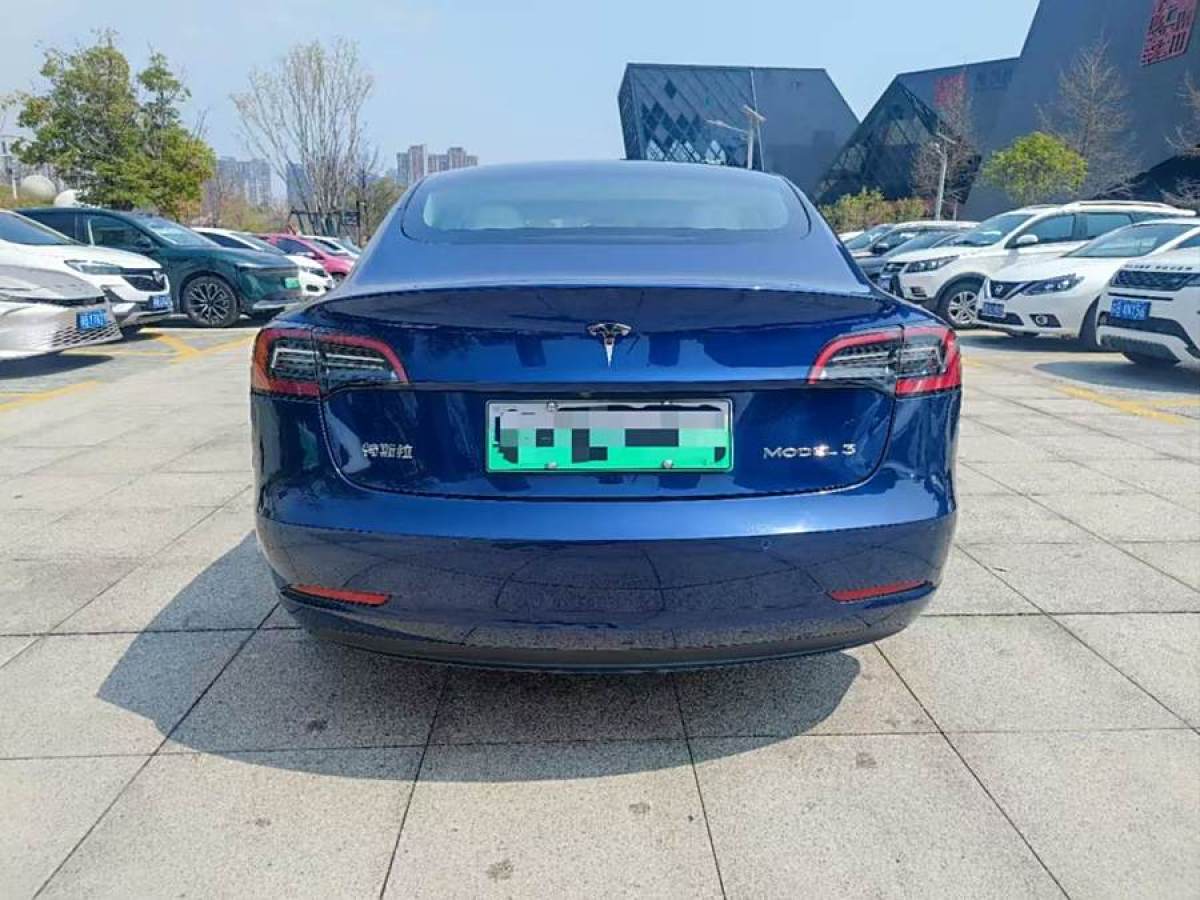 特斯拉 Model 3  2021款 改款 標準續(xù)航后驅(qū)升級版圖片