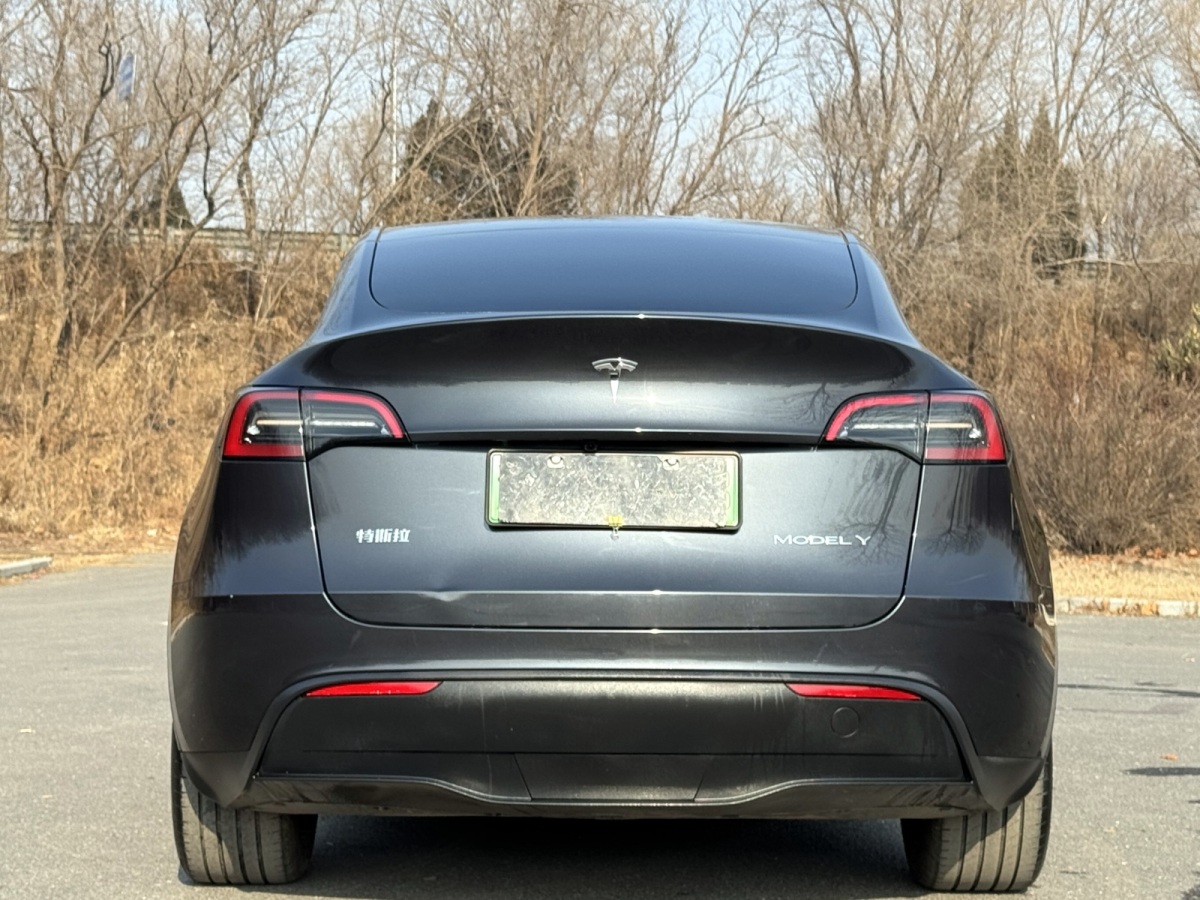 特斯拉 Model Y  2024款 后輪驅(qū)動版圖片