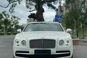 飛馳 賓利 4.0T V8 標(biāo)準(zhǔn)版
