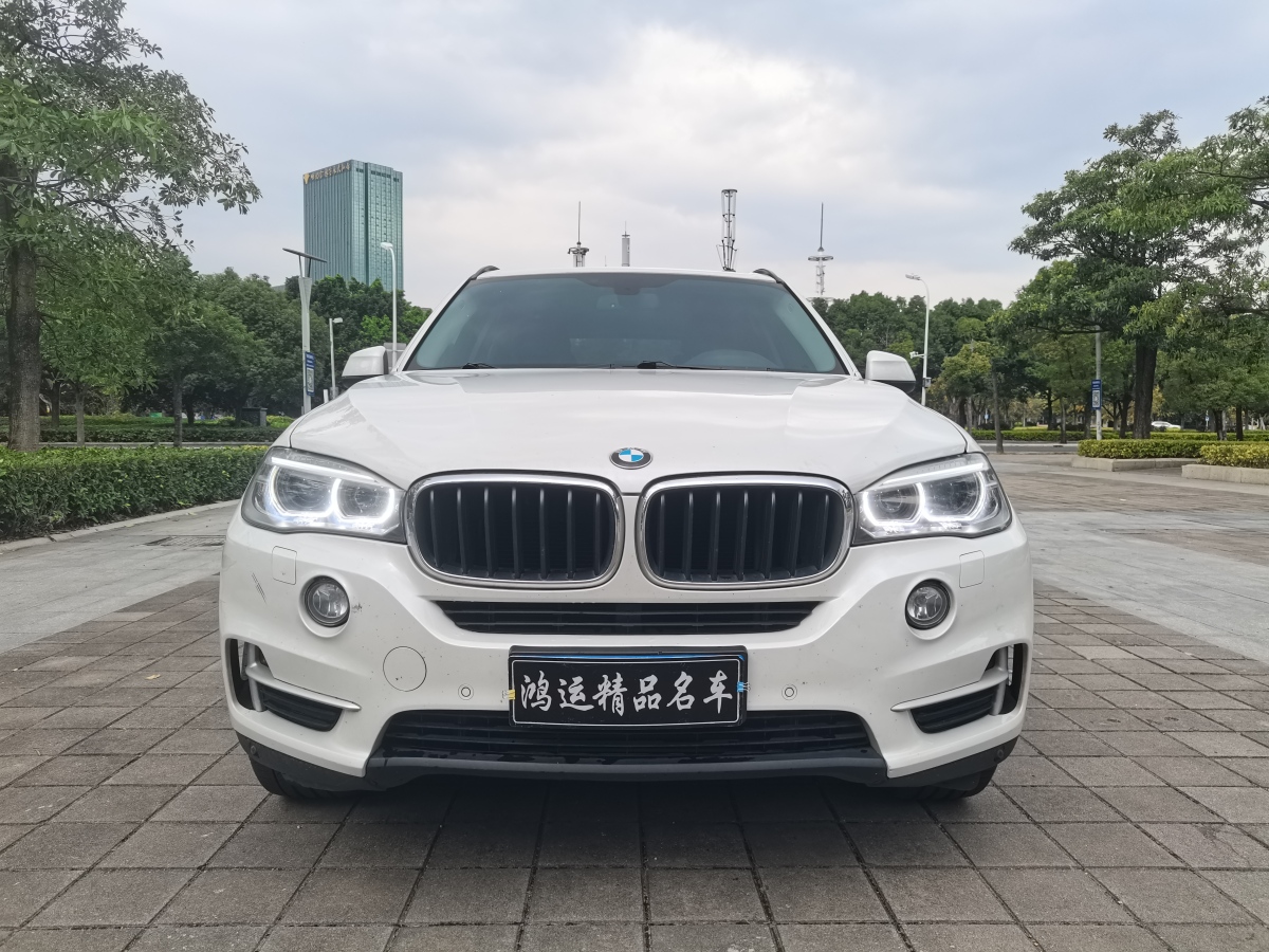 寶馬 寶馬X5  2014款 xDrive35i 領(lǐng)先型圖片