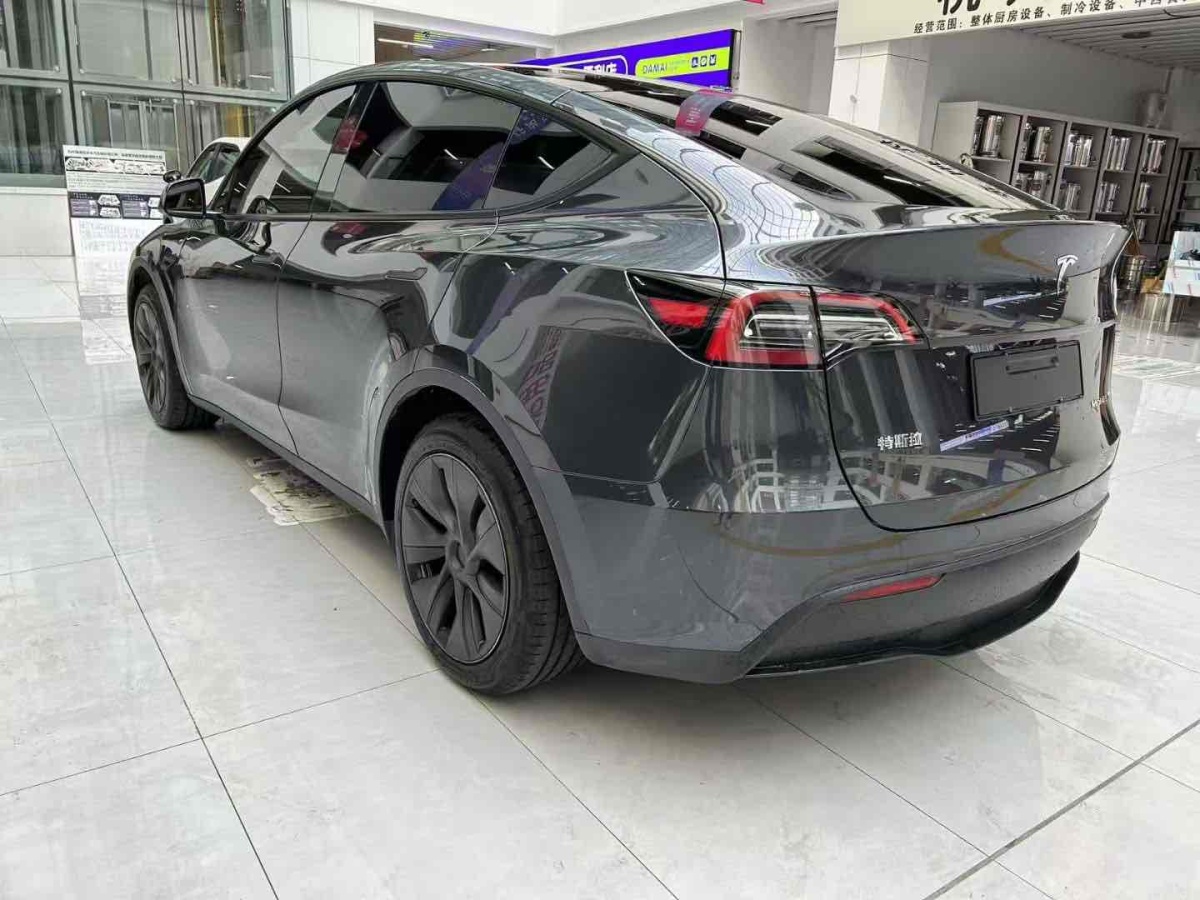 特斯拉 Model Y  2020款 改款 長續(xù)航后輪驅(qū)動版圖片