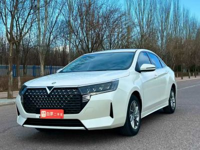 2023年1月 啟辰 D60 PLUS 1.6L XE CVT潮領(lǐng)版圖片