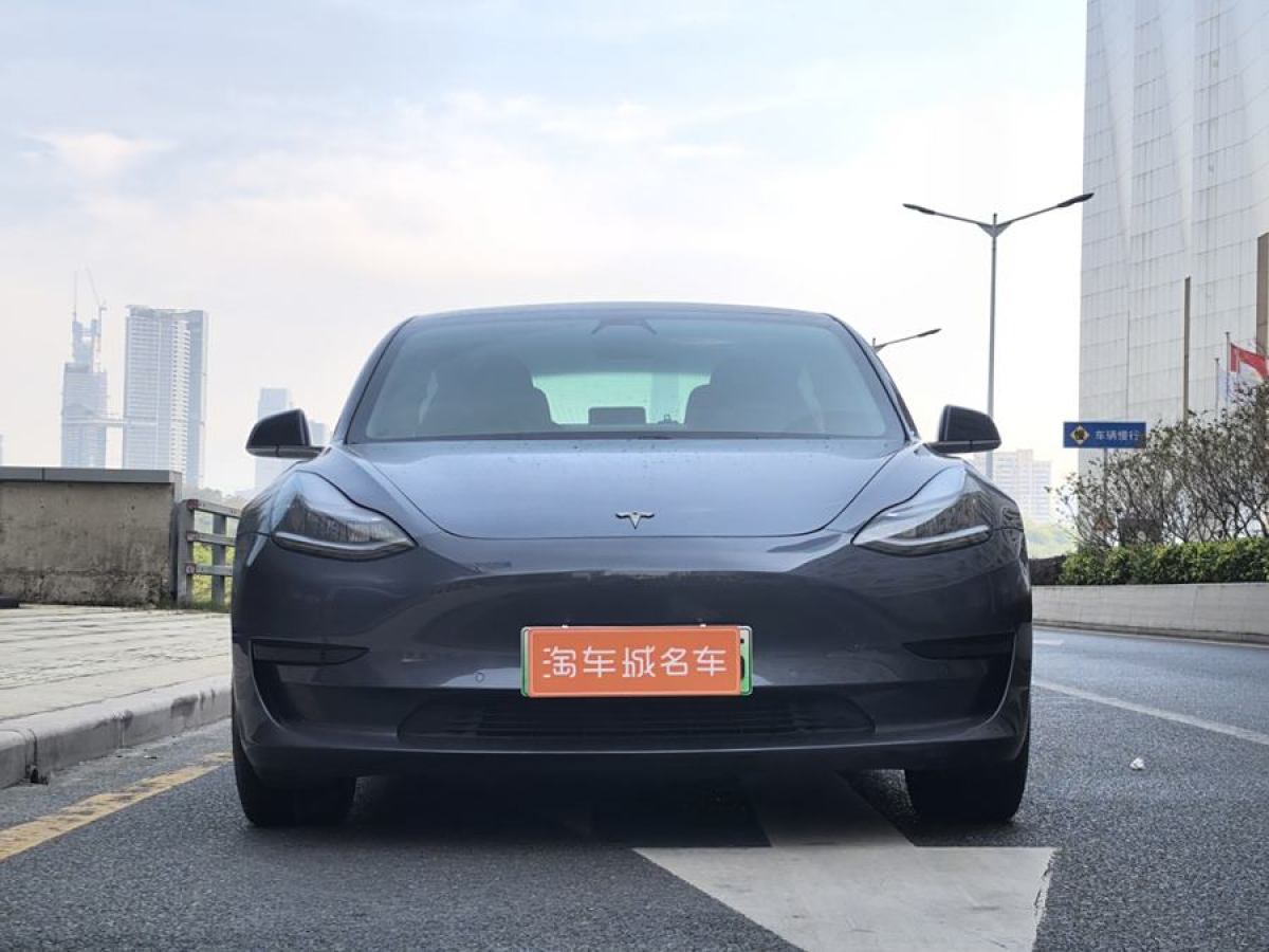 特斯拉 Model 3  2020款 改款 標(biāo)準(zhǔn)續(xù)航后驅(qū)升級(jí)版圖片